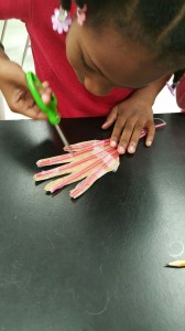 Broward Estates-STEM6